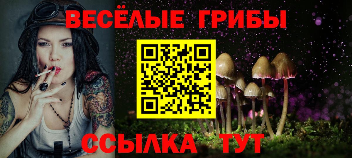 Галлюциногенные грибы GOLDEN TEACHER Белая Калитва